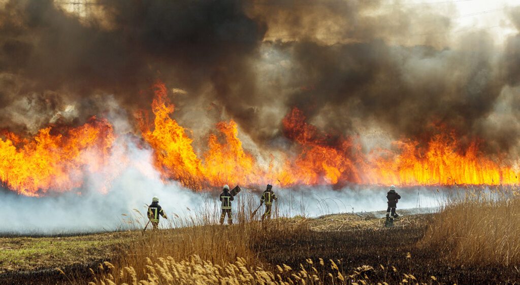Firefighters fighting a blazing line of fire as it sweeps through a field with black smoke filling the air.