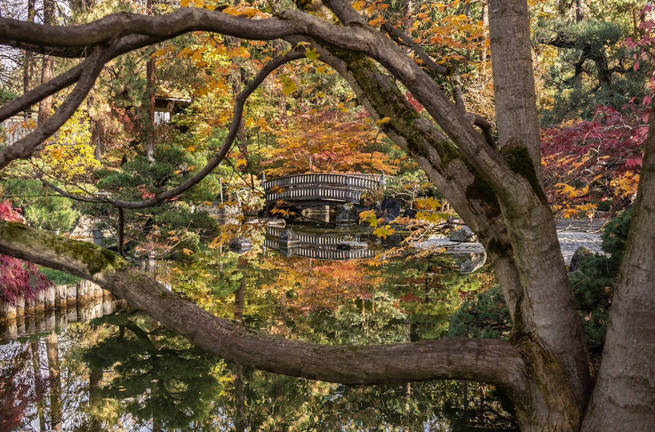 Japanese Garden - Manito Park