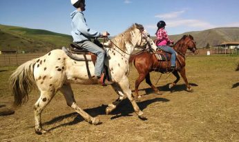 Chief Joseph Foundation 2