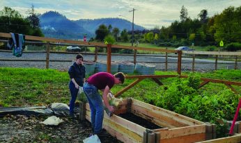 Cultivating Food Stability
