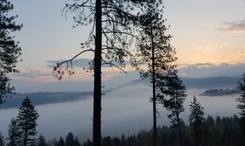 From Haller Creek Road in Stevens County. Photo by Camden Reeves (via Unsplash).