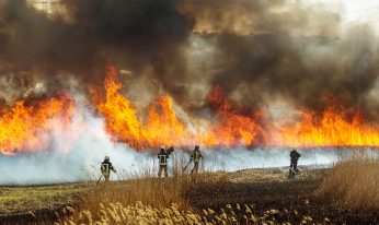 Firefighters fighting a blazing line of fire as it sweeps through a field with black smoke filling the air.