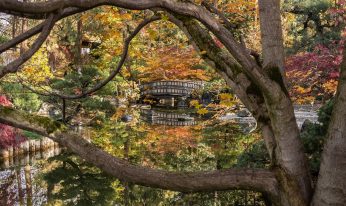 Japanese Garden - Manito Park