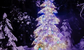 Second Place_Arts and Culture_Christmas in Nordman_Jennae Pegg