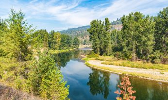 Travel on the Saint Joe River Scenic Byway in Idaho – Landscape of Saint Joe River Near Huckleberry Campground in Shoshone County Idaho-8
