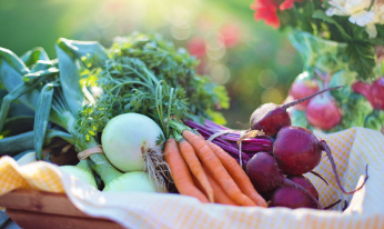 backyard-harvest