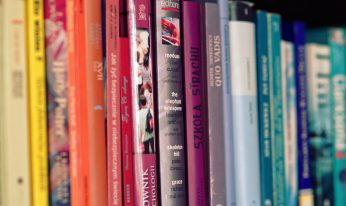 book-shelves-books-colorful-5711