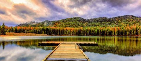 eb7d75de-fdd4-2d8d-5c8b-56a5d8a23e8f