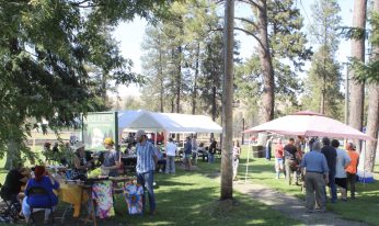 People enjoy a community picnic